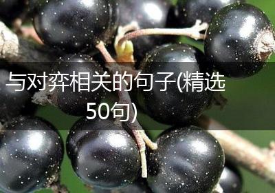 与对弈相关的句子(精选50句)