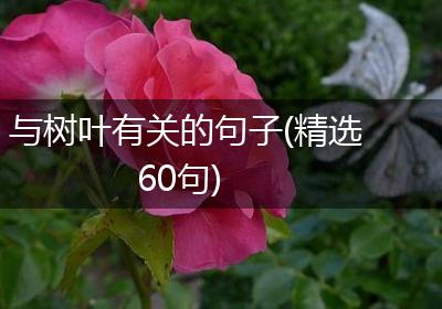 与树叶有关的句子(精选60句)