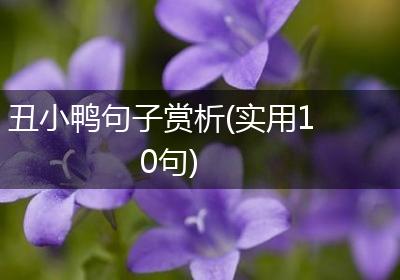 丑小鸭句子赏析(实用10句)