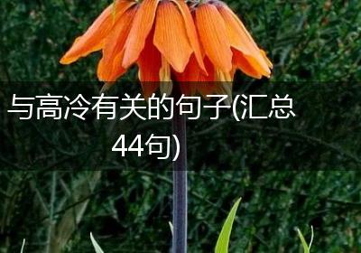 与高冷有关的句子(汇总44句)