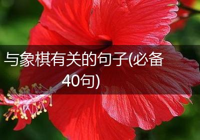 与象棋有关的句子(必备40句)