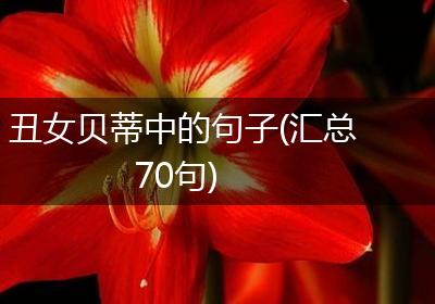 丑女贝蒂中的句子(汇总70句)