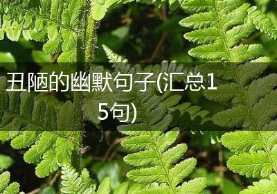丑陋的幽默句子(汇总15句)