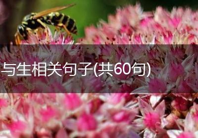 与生相关句子(共60句)
