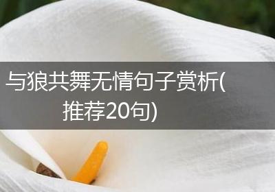与狼共舞无情句子赏析(推荐20句)