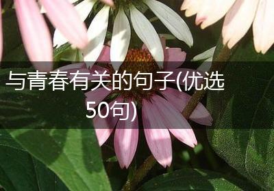 与青春有关的句子(优选50句)