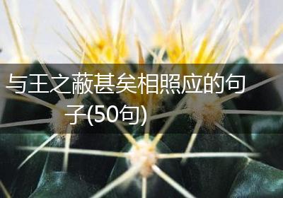 与王之蔽甚矣相照应的句子(50句)