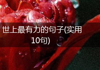世上最有力的句子(实用10句)