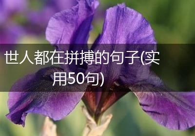 世人都在拼搏的句子(实用50句)