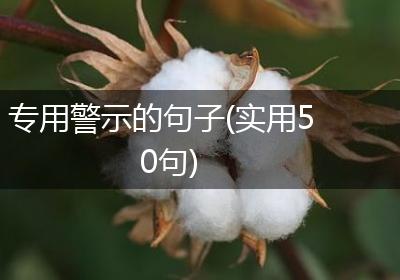专用警示的句子(实用50句)