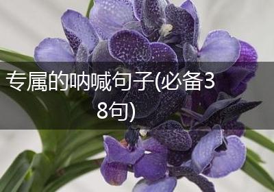 专属的呐喊句子(必备38句)