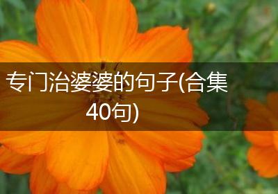 专门治婆婆的句子(合集40句)