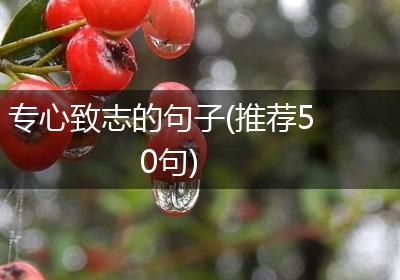 专心致志的句子(推荐50句)