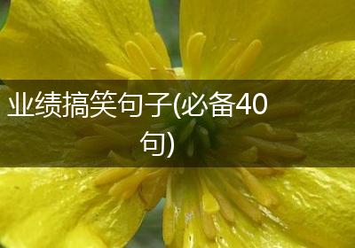 业绩搞笑句子(必备40句)