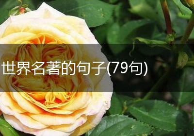 世界名著的句子(79句)