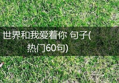 世界和我爱着你 句子(热门60句)