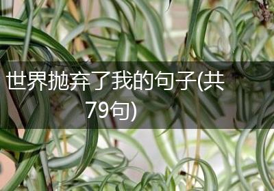 世界抛弃了我的句子(共79句)