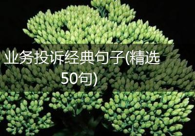 业务投诉经典句子(精选50句)