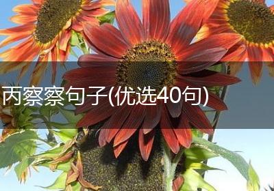 丙察察句子(优选40句)