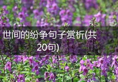 世间的纷争句子赏析(共20句)