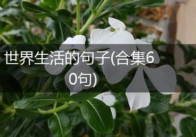 世界生活的句子(合集60句)