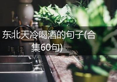 东北天冷喝酒的句子(合集60句)