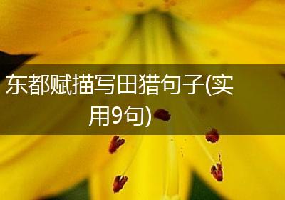 东都赋描写田猎句子(实用9句)
