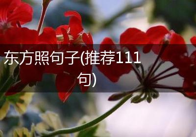 东方照句子(推荐111句)