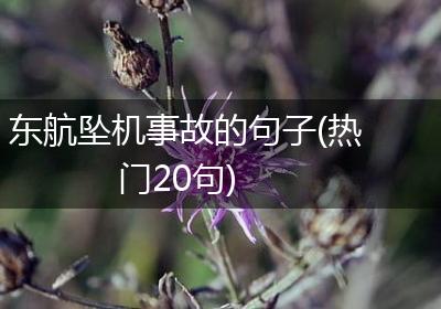 东航坠机事故的句子(热门20句)