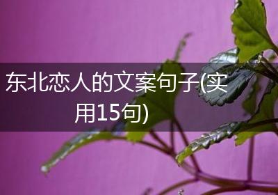 东北恋人的文案句子(实用15句)