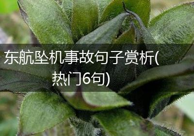 东航坠机事故句子赏析(热门6句)