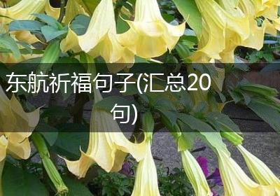 东航祈福句子(汇总20句)