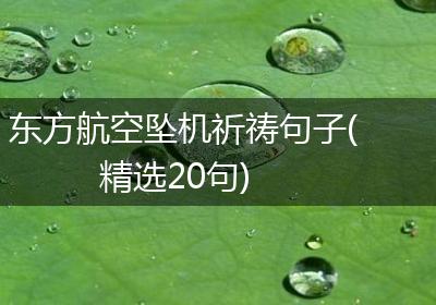 东方航空坠机祈祷句子(精选20句)