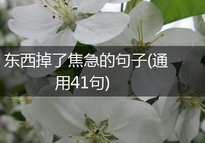 东西掉了焦急的句子(通用41句)