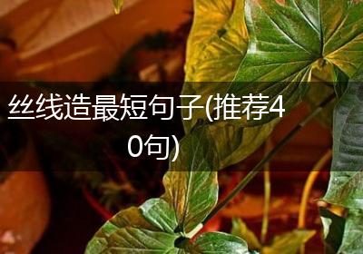 丝线造最短句子(推荐40句)
