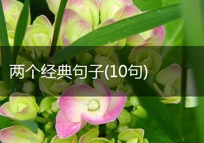 两个经典句子(10句)