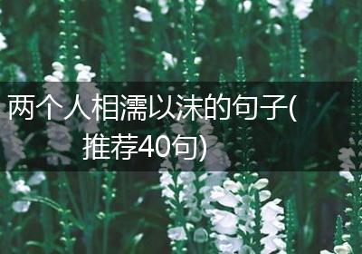 两个人相濡以沫的句子(推荐40句)