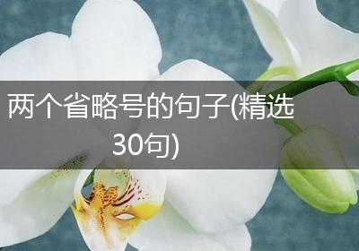 两个省略号的句子(精选30句)