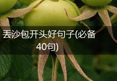 丢沙包开头好句子(必备40句)