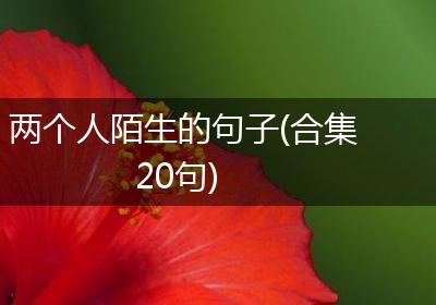 两个人陌生的句子(合集20句)