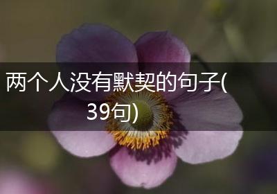 两个人没有默契的句子(39句)