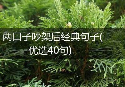 两口子吵架后经典句子(优选40句)