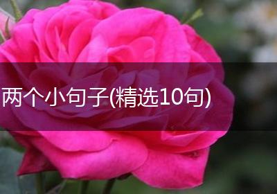 两个小句子(精选10句)