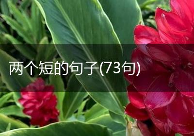 两个短的句子(73句)