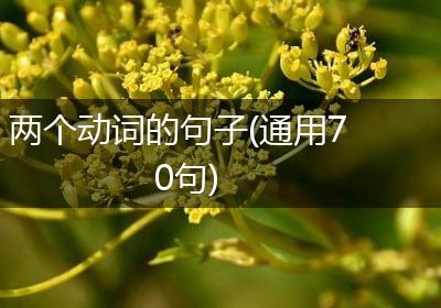 两个动词的句子(通用70句)
