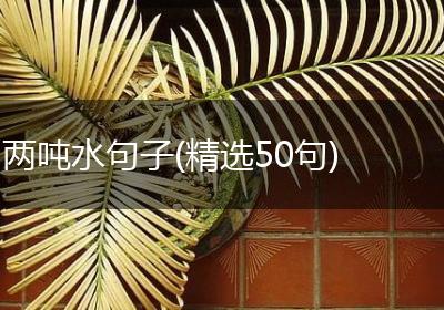 两吨水句子(精选50句)