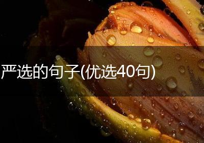 严选的句子(优选40句)