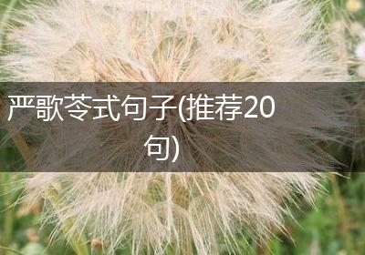 严歌苓式句子(推荐20句)