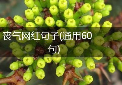 丧气网红句子(通用60句)