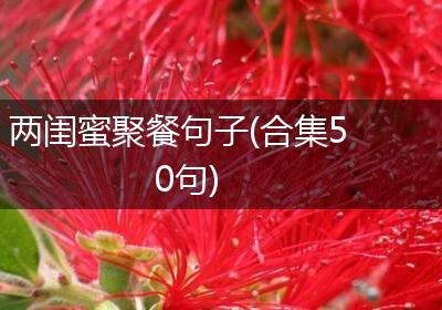 两闺蜜聚餐句子(合集50句)